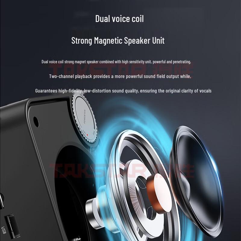 Takstar E500W Wireless Voice Amplifier CN plug (adapter included)