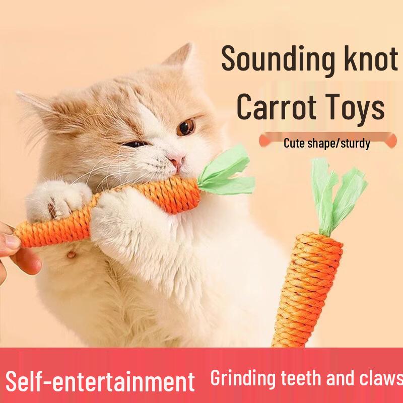 Crazy Owner Interactive Cat Toys
