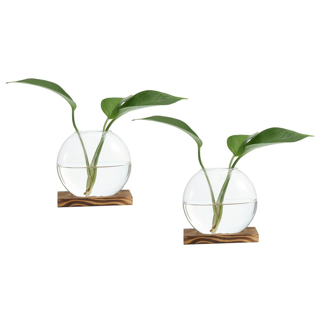 2pcs Hydroponics Glass Vase with Wooden Tray Bud Vases Plant Propagation Station Flower Vase for Bedroom Home Table Decoration