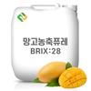 Mango Concentrate Puree 28 Brix 200g Sample 1 pcs