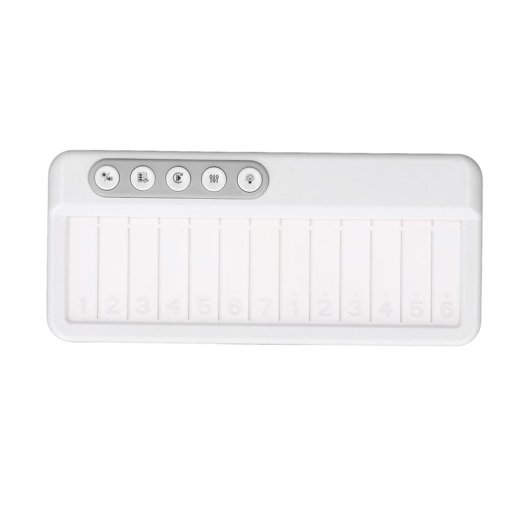 Baby Piano Keyboard Toy Sound Light Up Educational Toddler Musical Toy Keyboard for Boys Girls