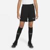 Nike Kids Shorts Moderate Kids' CW6109-010