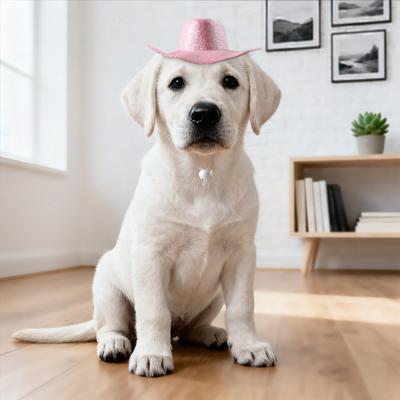 Domácí mazlíčci Kovbojský klobouk Retro Westernový kovbojský klobouk Nastavitelný Třpytivý klobouk pro psy pro Kočky Malí až Střední psi Denní vycházky Párty Focení