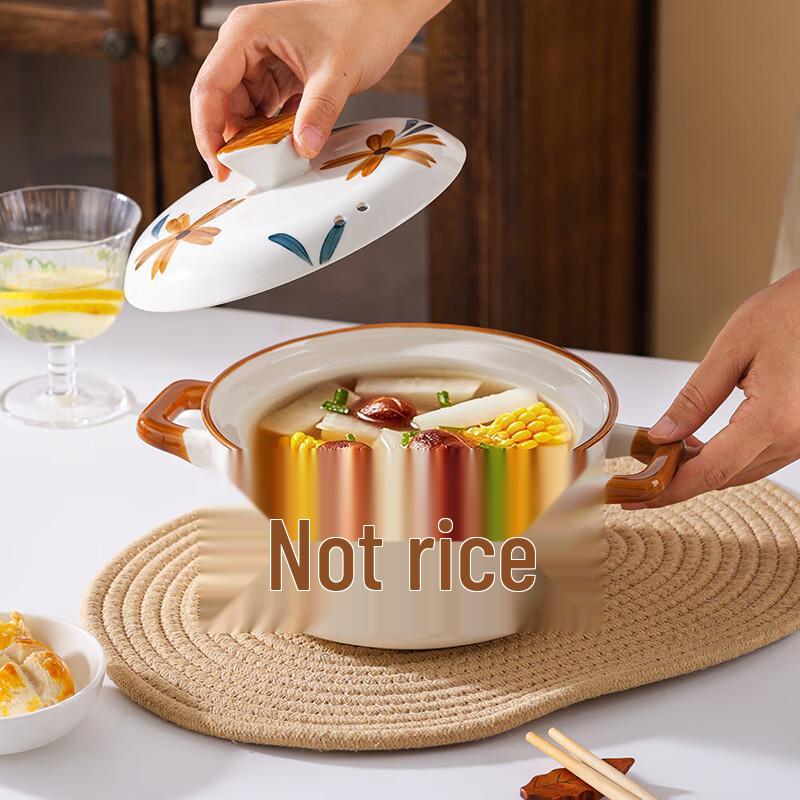 Ceramic Stew Pot with Lid