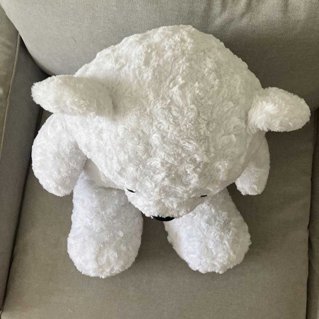 [USED] Fluffy Large White Bear 67cm Teddy Bear