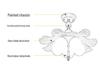 Pre-owned Fengmodou French Retro Rattan Chandelier for Bedroom, Dining Room, or Tea Room