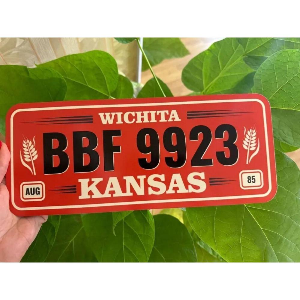 NÁS. registrační značka, USA. SPZ, kovová, 15x30 cm.