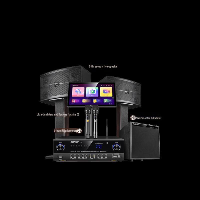 

SAST All-in-One Home KTV Karaoke System CN plug (adapter included)