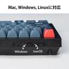 Keychron V1 Max Wireless Custom Mechanical Bluetooth Wired JIS Kana RGB Gateron Jupiter Mechanical Gasket Compatible with Mac and Windows Jupiter