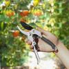 Pruner Branch Trimmer Agriculture Scissor Garden Pruning Shears Gardening Scissor Garden Shears