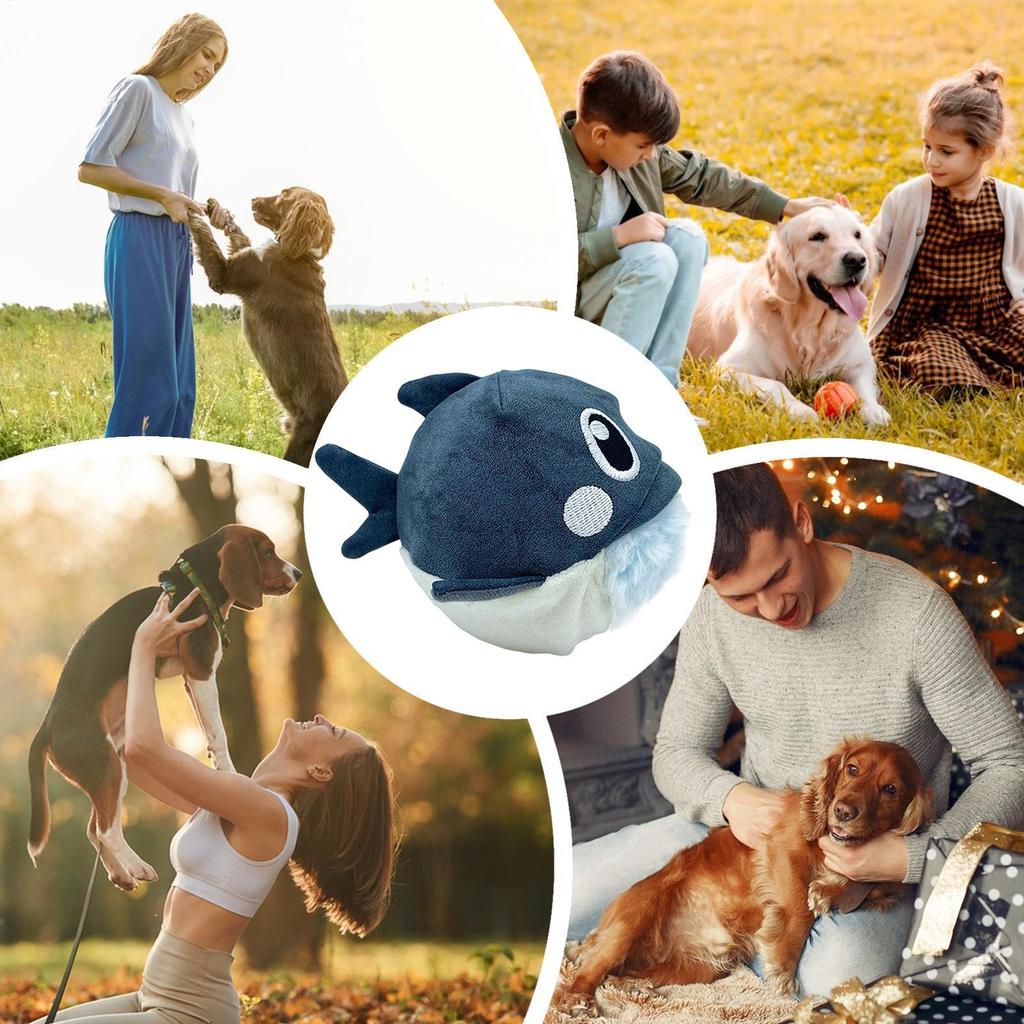 Hund quietschende Spielzeuge Frosch Hai Kauspielzeug Langeweile Spielzeug Interaktiv Abnehmbar Unzerstörbar Quietschend Zahnungszubehör Für Welpen Haustier