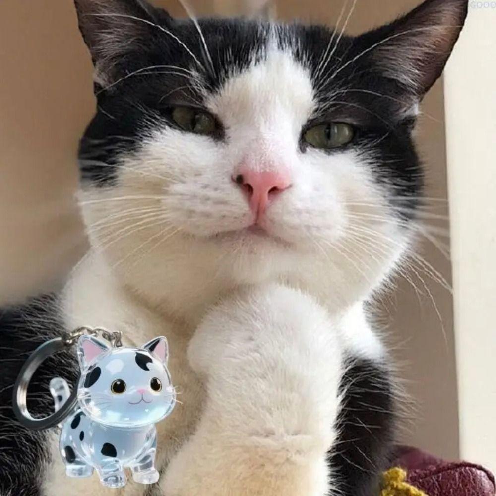 Animal Shaped Cat Hair Acrylic Keychain Transparent Dog Fur Storage Pendant  DIY Pendant