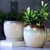 Breathable Ceramic Flower Pot with Tray for Gardenia and Succulents, Chinese Style, Large and Durable for Balcony Use.