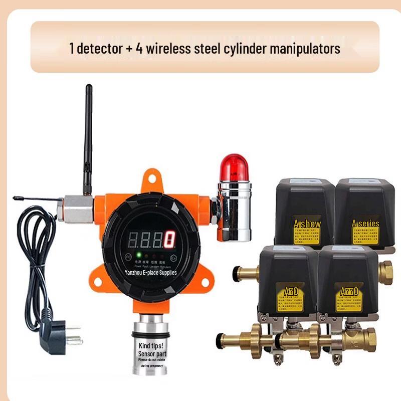 Brangdy Flammable Gas Detector Alarm System