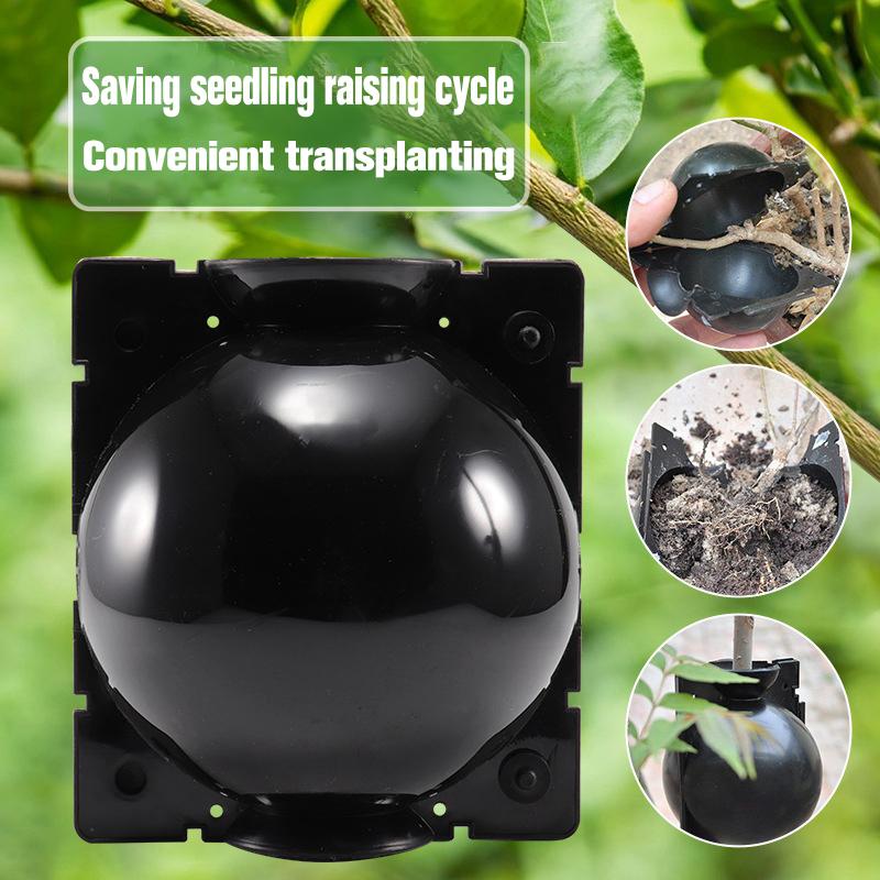 5Pcs Plant Rooting Ball Breeding Plant Root Pot Garden Cutting Grafting Rooting Box Breeding Seedling Balls Gardening Supplies
