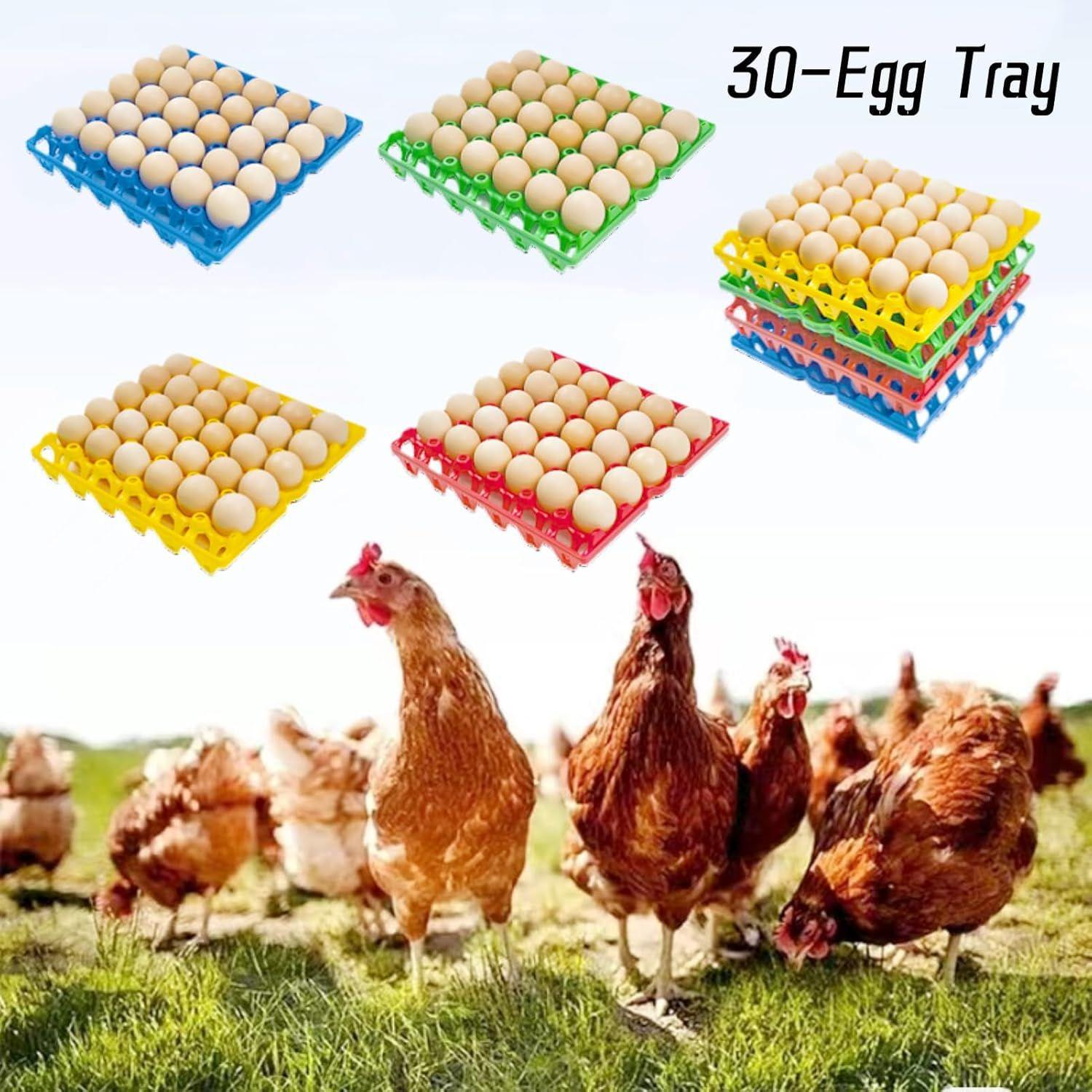 30-Egg Transport & Hatching Plastic Tray for Breeding Green 30-Egg Tray