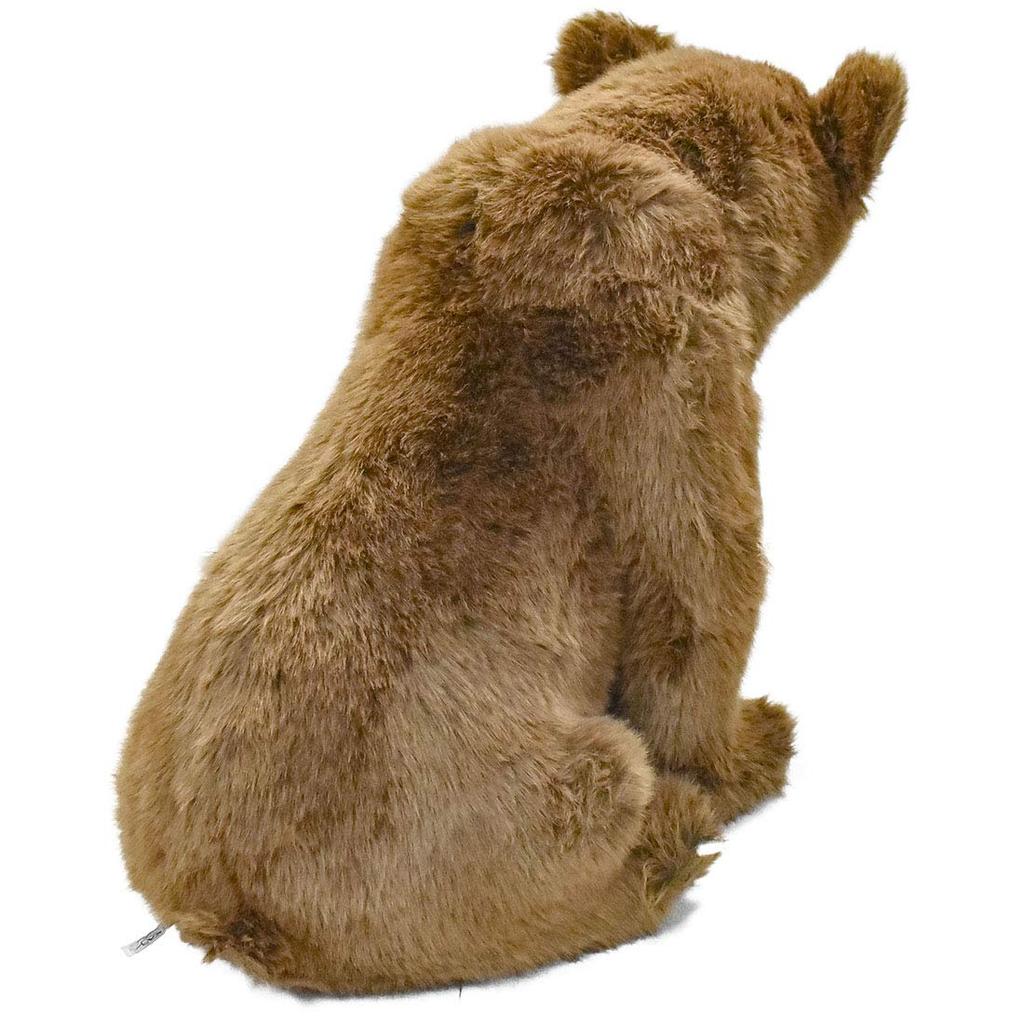 Braunbär Nr. 5731