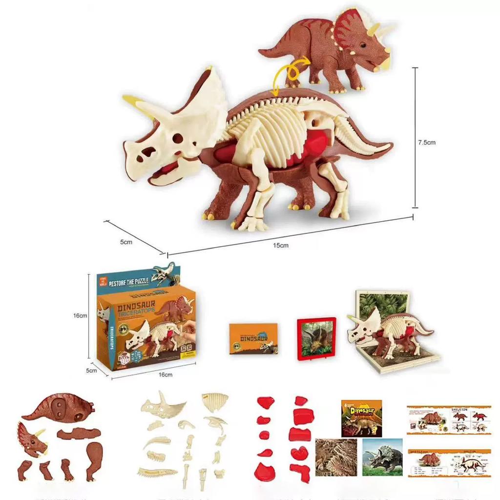 3D DIY Zusammengebaut Anatomie Dinosaurier Spielzeug Kinder Montage Tier Sammlerstück Dinosaurier Spielzeug Anatomie Kunststoffmodell Pädagogisch Kind
