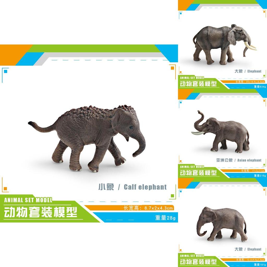 Animal Wildlife Model Toy For Kids Educational Decor And Collectors