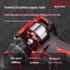 DELIXI ELECTRIC Cordless Impact Drill & Screwdriver CN Plug (adapter Included)
