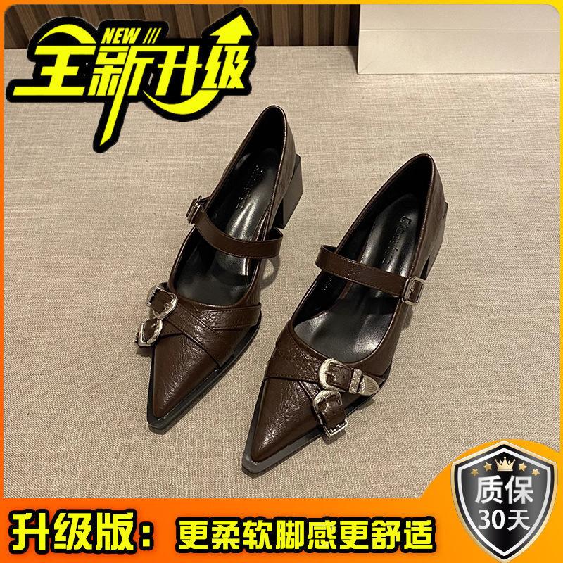 French Temperament Pointed High Heels Black Single Shoes Women's Shoes 2025 New Spring and Autumn Winter Mary Jane Small Leather Shoes