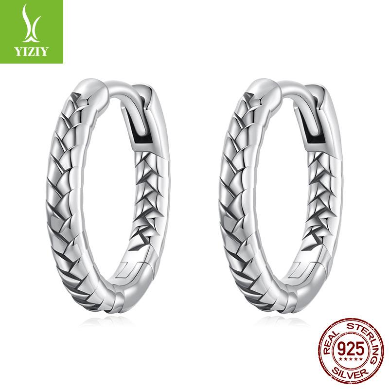 S925 Sterling Silver Earrings Women'S, Personalized High-End Zircon Ring Earrings Jewelry