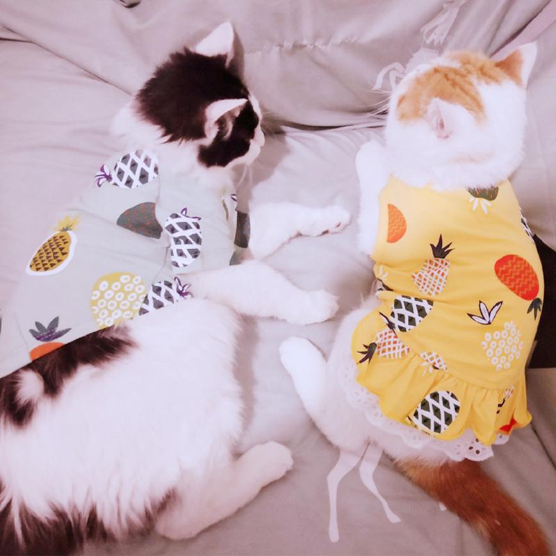 Sweet Print Sphynx Cat Vest T Shirt Summer Cotton Pet Clothes for Cats Gotas mascotas Clothing Katten Kedi Costume vetement chat