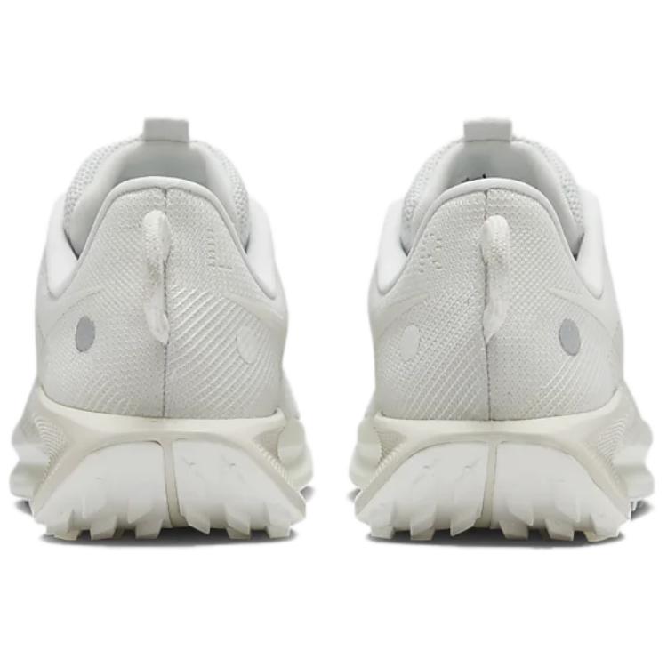 Nike Pegasus Trail 5 Summit White Sail Light Orewood DV3865-101