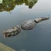 Atrăgător de Crocodil Plutitor Yousheng Ecologic Plutitor pentru iaz Crocodil Fals Atrăgător Realist Statuie Crocodil Plutitoare pentru piscină Crocodil Decorativ Non-toxic