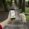 Ip67 Waterproof Gps Pet Tracker 4g Networks Locator With Collar For Dogs,cats