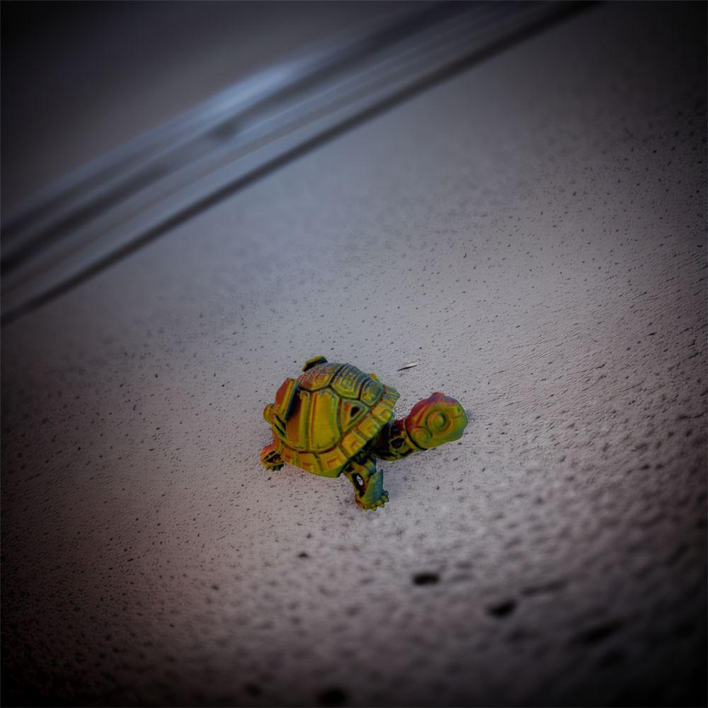 Movable Simulated Animal Model Plastic Stress Relieving Toys Creative 3D Printed Turtles Room