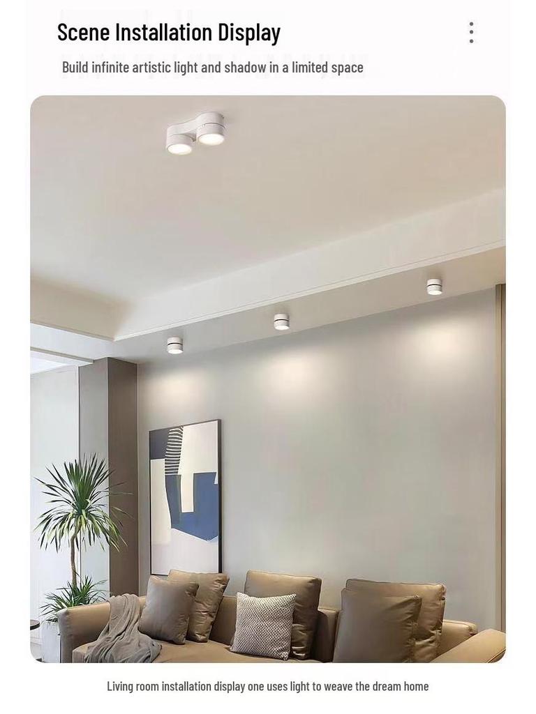 Adjustable LED Double-Head Smart Ceiling Spotlight for Living Room and Aisle