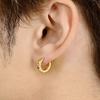 Lionheart Men's Single Earring, Stainless Steel Hoop, Gold Color, Perfect for Boyfriends, Simple Design