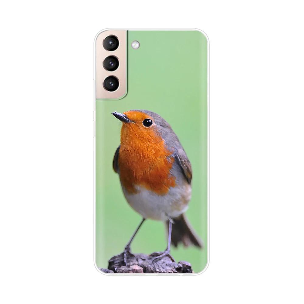 Mobile Phone Bag Case For Samsung Galaxy S21 Silicone Back Cover For Samsung S21 plus s 21 GalaxyS21 S21 FE S21Ultra Cases Capas