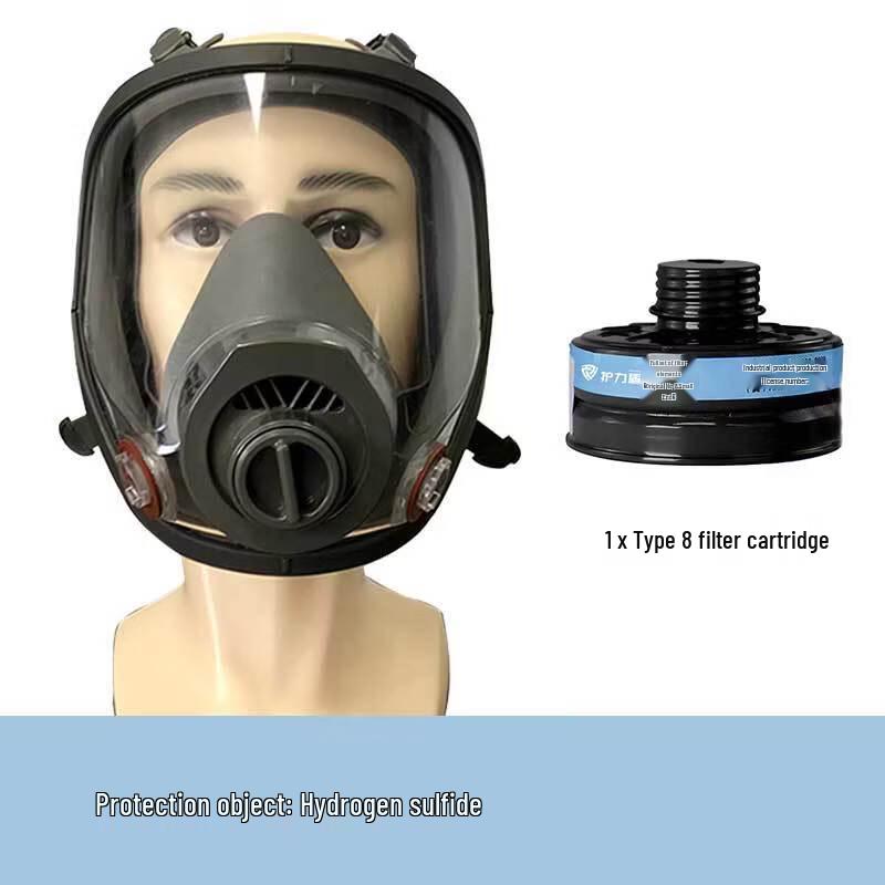 Lieve Full-Face Respirator Mask