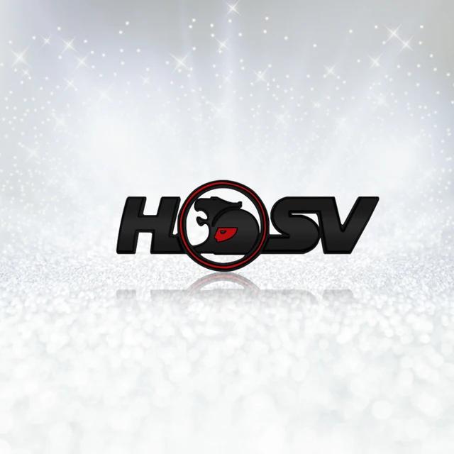 1pc New 3D Metal HSV Logo Emblem Decor Side Fender Rear Trunk Badge Sticker for HSV Astra Commodore VT VX VU VY HSV Cruze Rodeo Astra