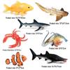 Marine Animal Simulation Model Figures: Shark, Dolphin, Hammerhead, Crab, Squid, Starfish for Kids' Education
