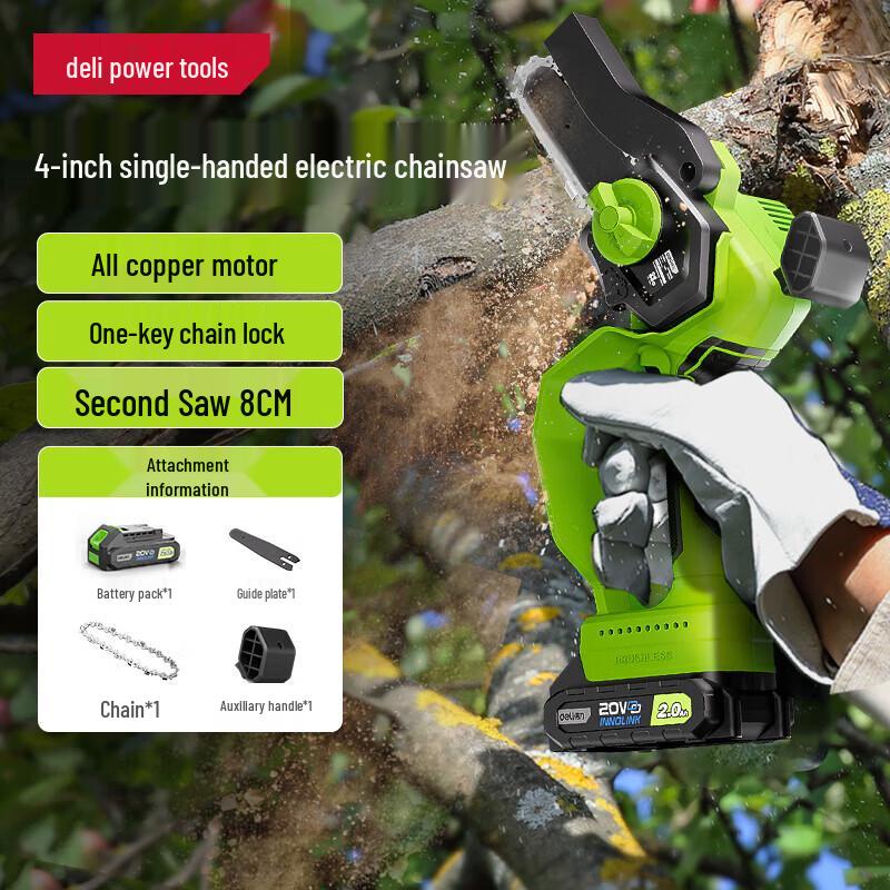 

Deli 20V Cordless Mini Chainsaw CN plug (adapter included)