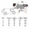 Adjustable Cat Recovery Suit Thin Cat Weaning Suit Cute Anti-scratch Care Clothes  for Small Dog