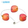 Science Experiment Fruit Power Generation Zinc Copper Pieces Technology Small Making Pupils Small Invention Physics Experiment Material Toys