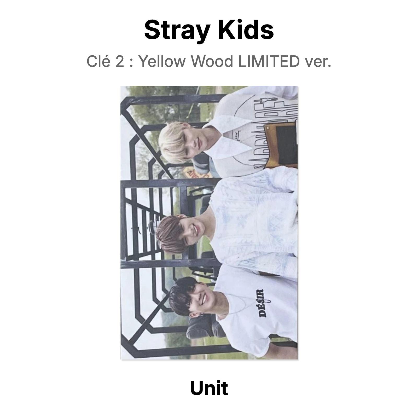 Stray Kids Clé 2: Желтое дерево LIMITED версия. Официальная фотокарта Unit 04 gray