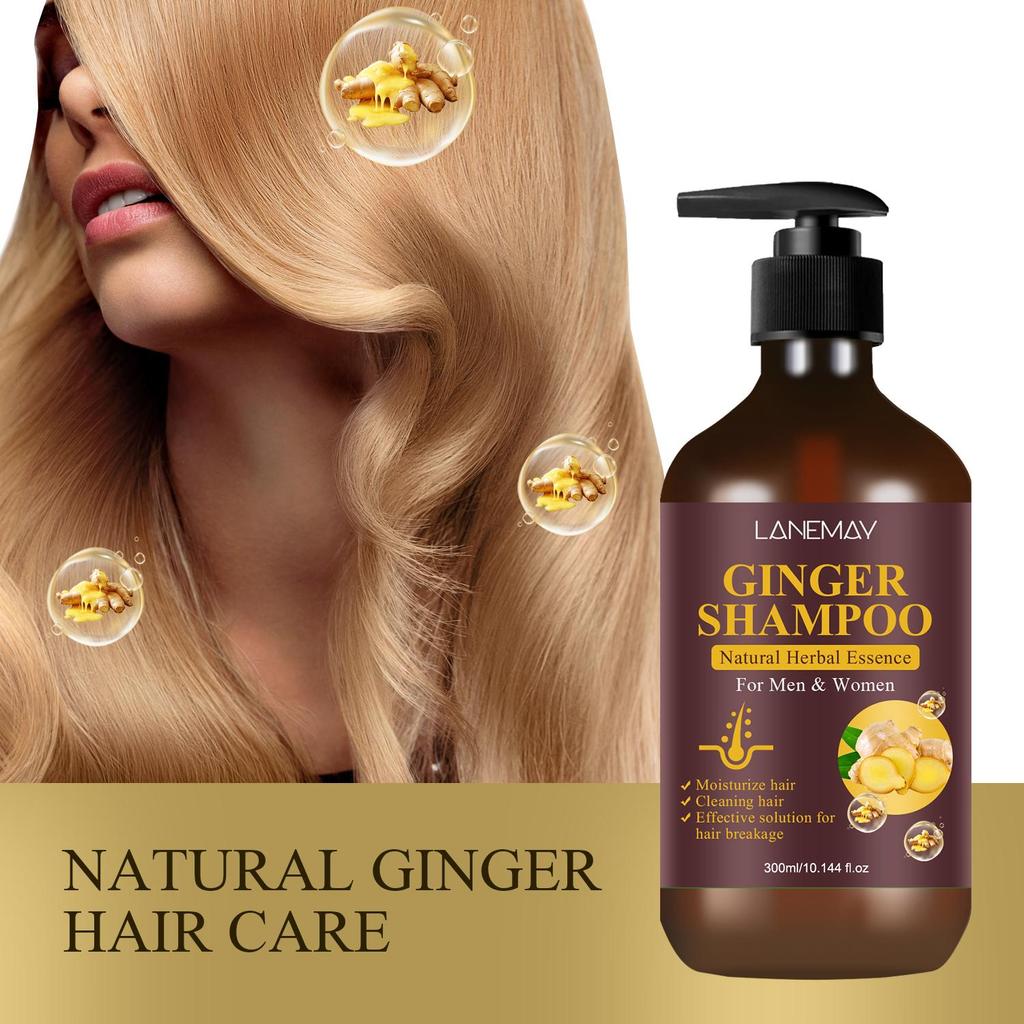 Shampoing au gingembre : nettoie et hydrate efficacement les cheveux, renforce et nourrit les cheveux, réduit les pointes fourchues et la casse, 300 ml