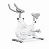 Silent Indoor Exercise Bike: Dynamic Home Fitness Equipment