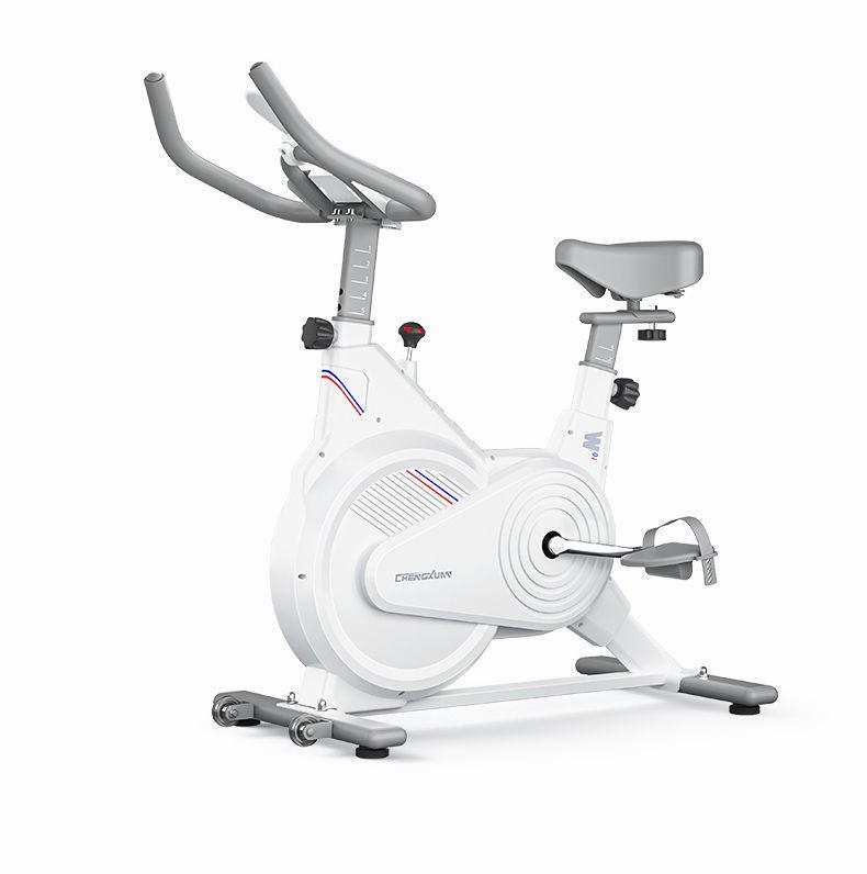 Silent Indoor Exercise Bike: Dynamic Home Fitness Equipment