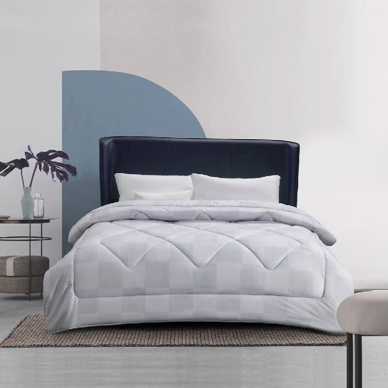 Mercury Home Feather Grid Warm Antibacterial Wool Quilt