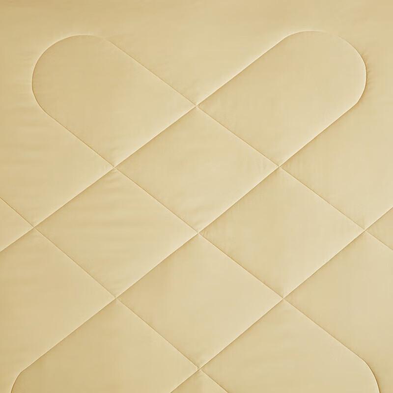 Luolai Brilliant Tussah Silk Quilt