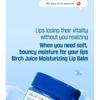 ROUND LAB - Birch Juice Moisturizing Lip Balm