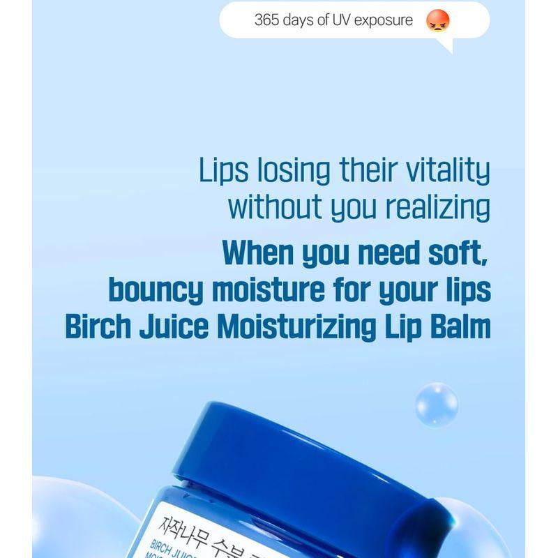 ROUND LAB - Birch Juice Moisturizing Lip Balm