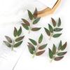 50Pcs Artificial Plant Silk Leaf Household Christmas Decoration Wedding Party Background Accessories Diy Candy Box Scrapbooking