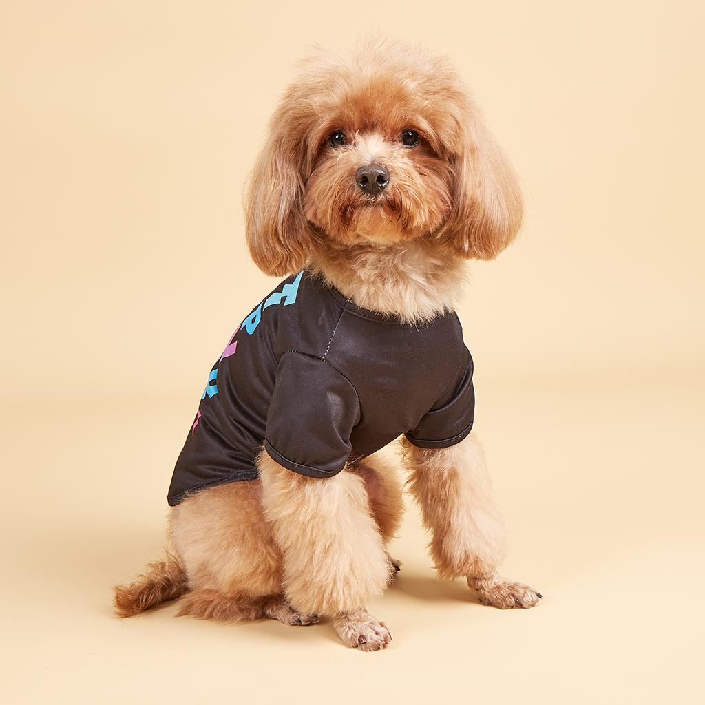 Haustierkleidung Hundeshirt mit bunten Buchstaben Aufdruck Kleidung für Welpen Hund Katze Kleidung Kostüm Yorkie Chihuahua